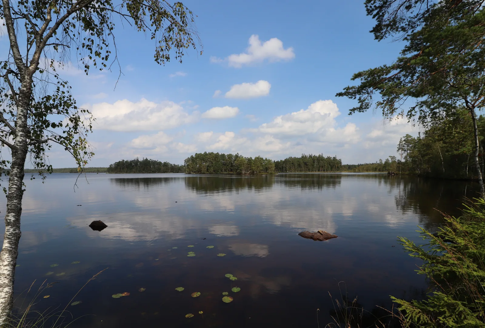 Möckeln – paddlingsvatten utanför Älmhult